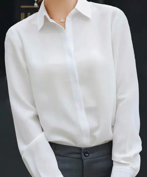 Classic Straight Body Long Sleeve Blouse