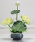 Lotus Blossom with Vases