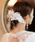Crystal & Lace Updo Hair Comb