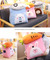 Kawaii Pets Cushion Pillows