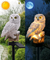 Owl 3D Landscape Lamp