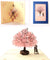Cherry Blossom 3D Pop-Up Cards